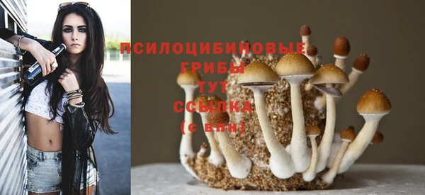 сатива Алзамай