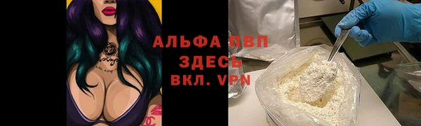 тгк Алексин