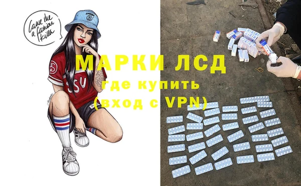 сатива Алзамай
