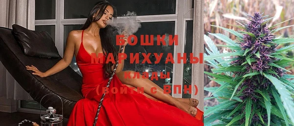 сатива Алзамай
