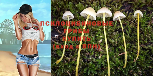 сатива Алзамай