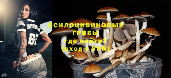 тгк Алексин