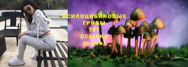 тгк Алексин