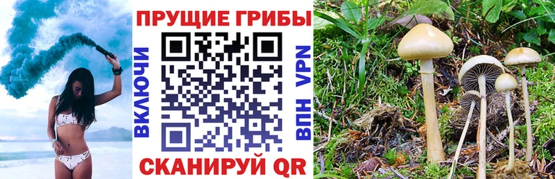 Псилоцибиновые грибы ЛСД  Йошкар-Ола 