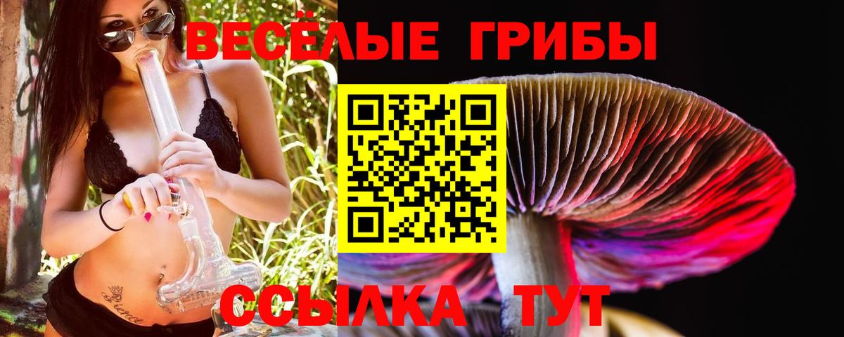Псилоцибиновые грибы GOLDEN TEACHER Йошкар-Ола