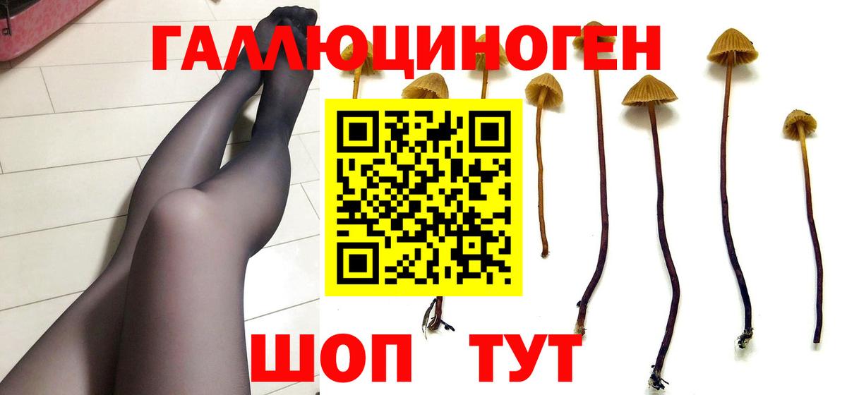 Йошкар-Ола  Галлюциногенные грибы мицелий  купить наркотик  Псилоцибиновые грибы ЛСД  Вход с VPN 